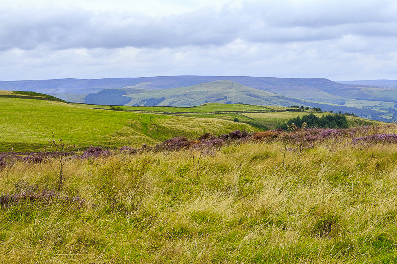 Lose Hill Lose Hill